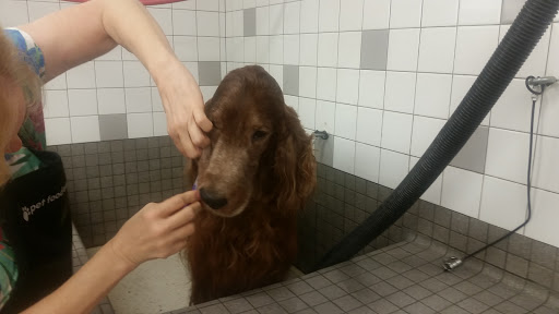 Pet Supply Store «Pet Food Express», reviews and photos, 15466 Los Gatos Blvd, Los Gatos, CA 95032, USA