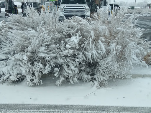 Supermarket «Walmart Neighborhood Market», reviews and photos, 2730 S Prairie Ave, Pueblo, CO 81005, USA