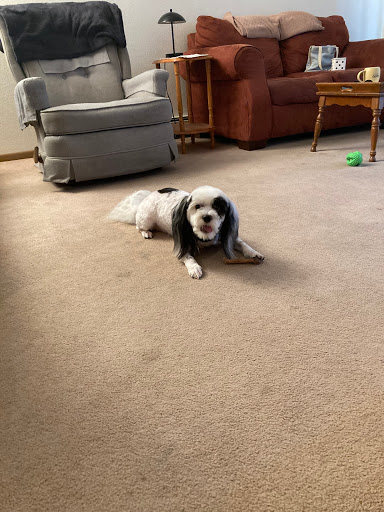 Pet Supply Store «Best Pets», reviews and photos, 905 Washington Ave, Detroit Lakes, MN 56501, USA