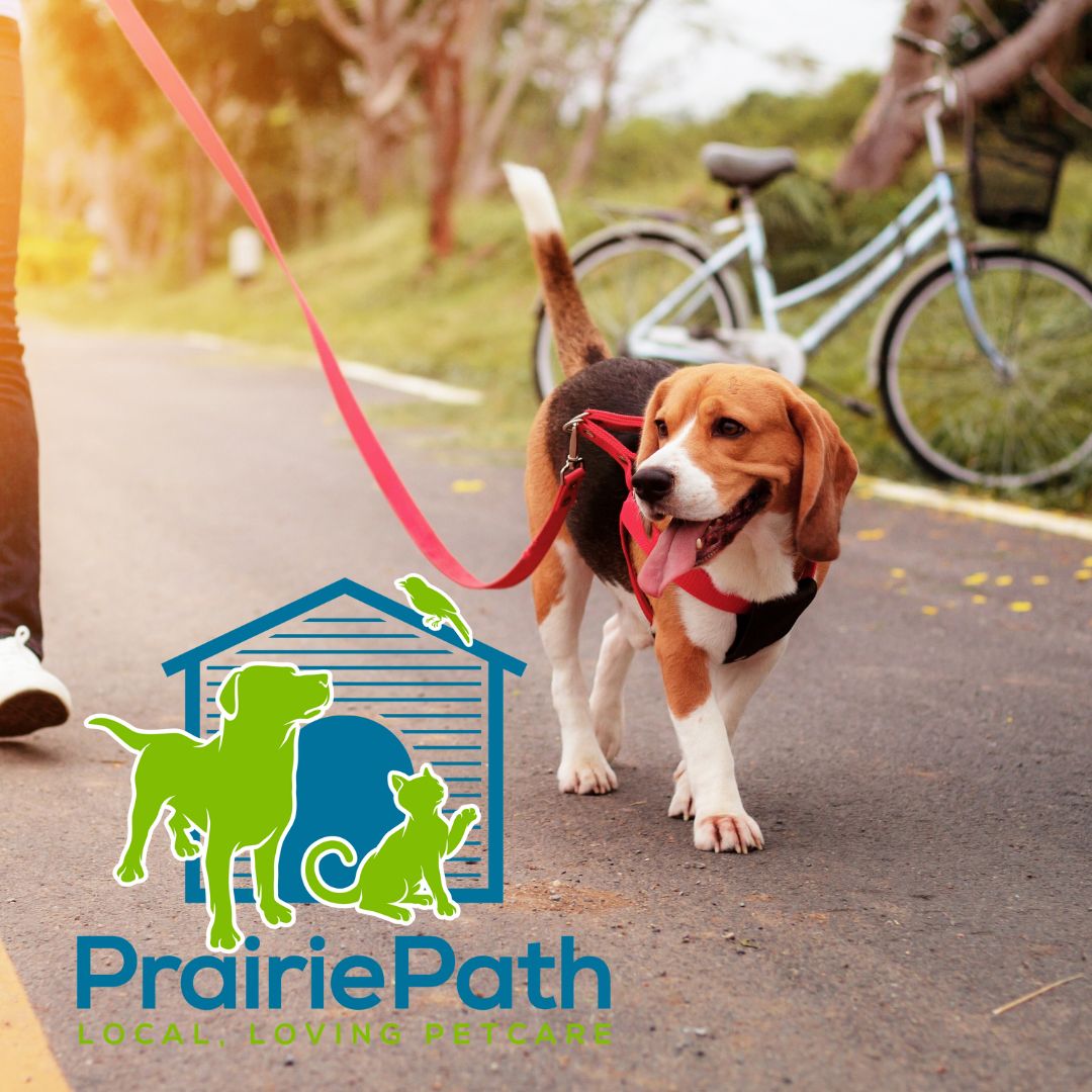 Prairie Path Pet Care & Training - Park Ridge