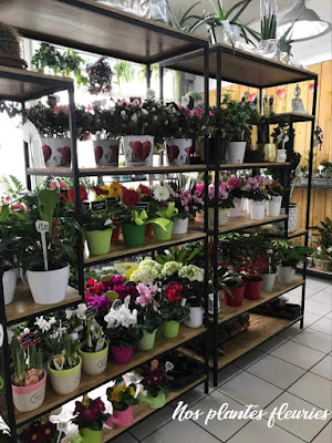 Jumbo Fleurs à Ham-sous-Varsberg