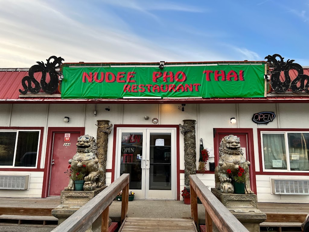 Nudee Pho Thai Restaurant 99645