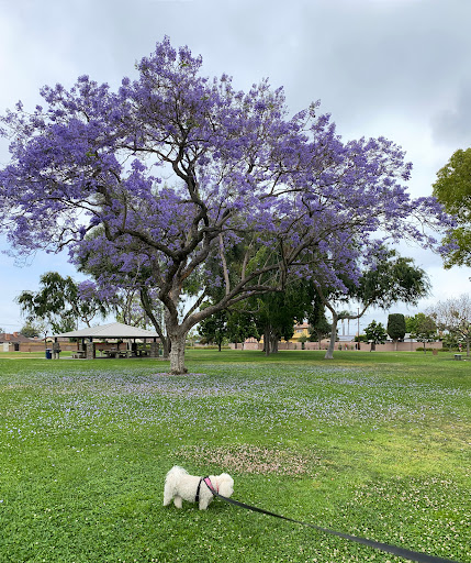 Park «Furman Park», reviews and photos, 10419 Rives Ave, Downey, CA 90241, USA