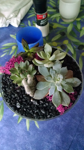 Produce Market «Blue Moon Acres», reviews and photos, 11 Willow Creek Dr, Pennington, NJ 08534, USA