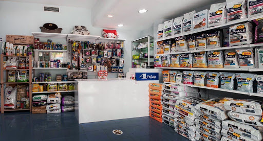 Clínica Veterinaria 4 Patas en Casillas