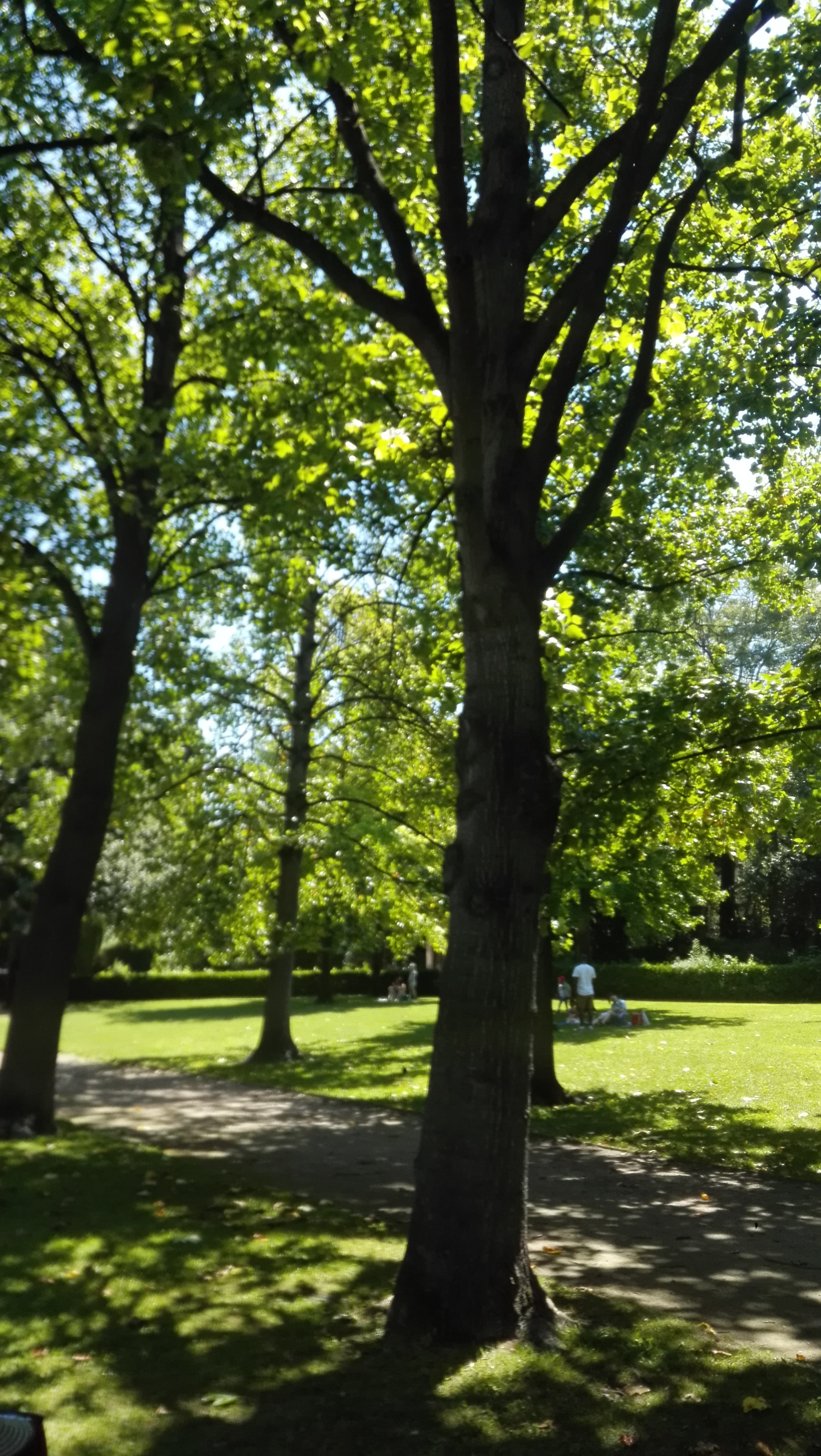 Photo n° 1 de l'avis de Caille. fait le 13/06/2019 à 21:11