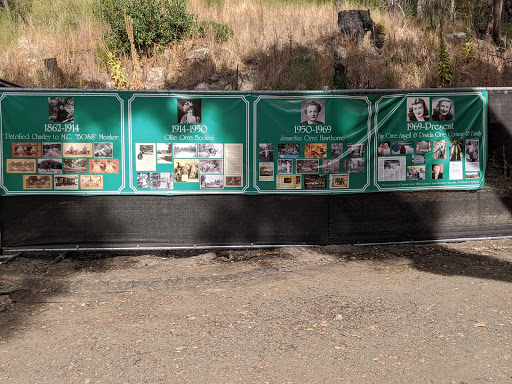 National Forest «Petrified Forest», reviews and photos