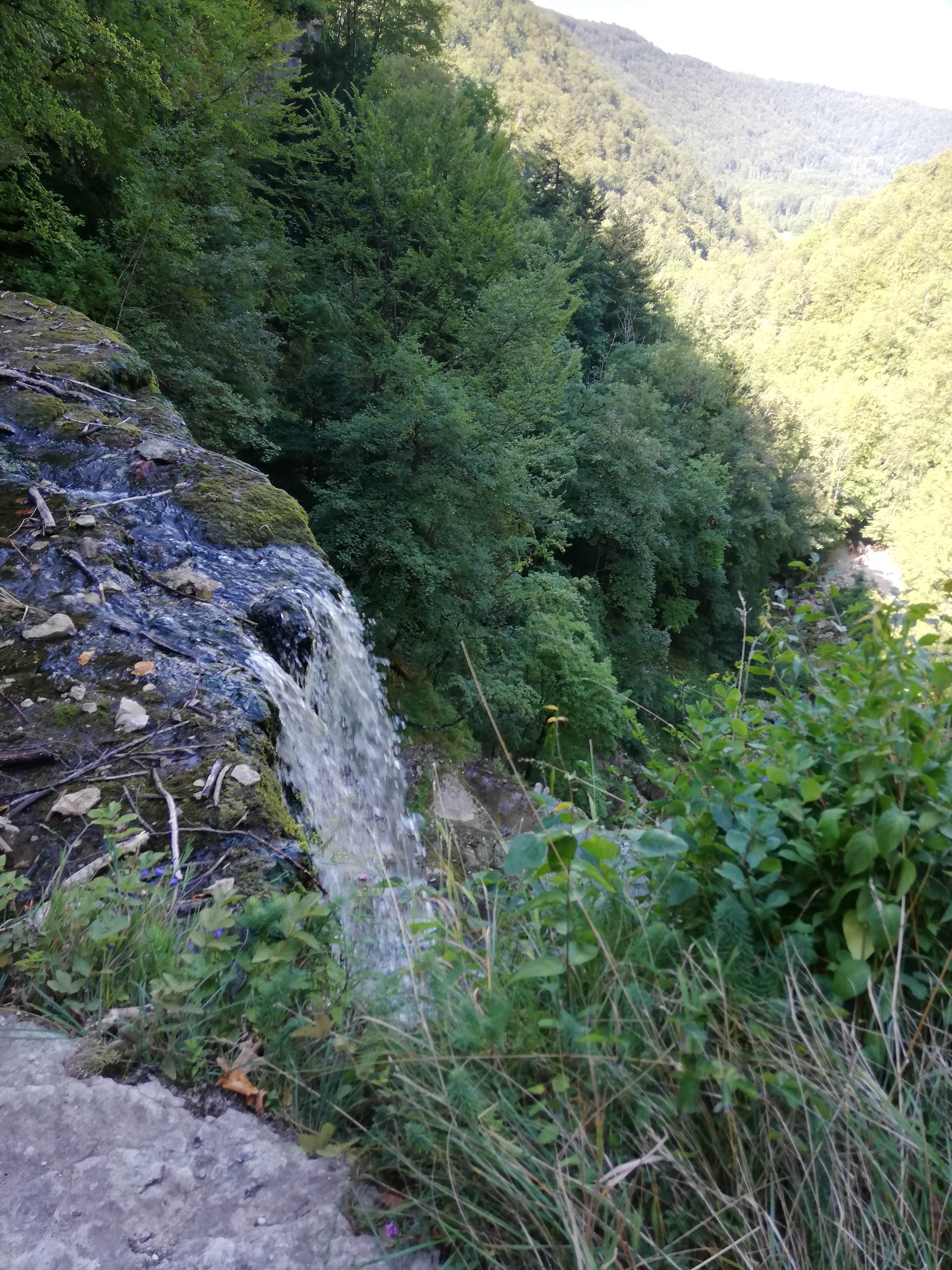 Photo n° 6 de l'avis de SENTENAC.V fait le 22/08/2023 à 06:19
