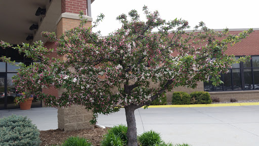 Community Center «The Center», reviews and photos, 714 S Main St, Council Bluffs, IA 51503, USA