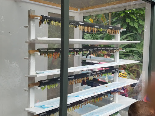 Botanical Garden «Frederik Meijer Gardens», reviews and photos, 1000 E Beltline Ave NE, Grand Rapids, MI 49525, USA