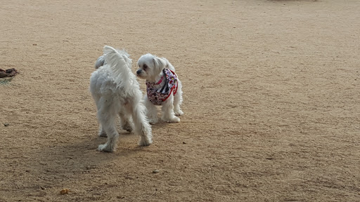 Park «Ernest E. Debs Regional Park», reviews and photos, 4235 Monterey Rd, Los Angeles, CA 90032, USA