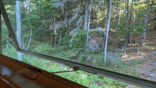 Whale Watching Tour Agency «Bar Harbor Whale Watch Co», reviews and photos, 1 West St, Bar Harbor, ME 04609, USA