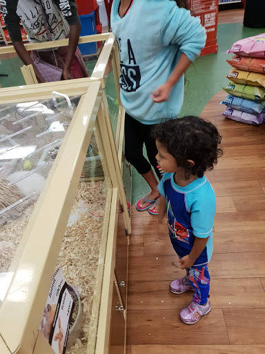 Pet Supply Store «Pet Supermarket», reviews and photos, 2449 S Hiawassee Rd, Orlando, FL 32835, USA
