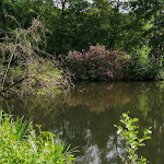 Photo n°1 de l'avis de Kpt..o fait le 07/06/2020 à 20:59 sur le  Café Schloß Türnich - 100% Bio à Kerpen