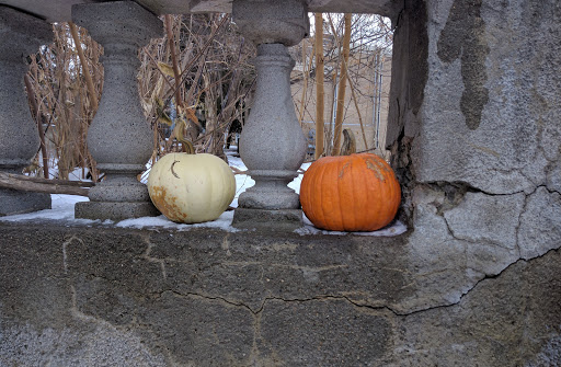 Wedding Venue «Gale Mansion», reviews and photos, 2115 Stevens Ave, Minneapolis, MN 55404, USA