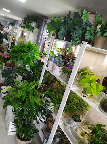 Comentarii opinii despre Kwiaciarnia „Red Rose”