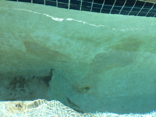 Vacation Home Rental Agency «Surf or Sound Realty», reviews and photos, 26204 Rampart St, Salvo, NC 27972, USA