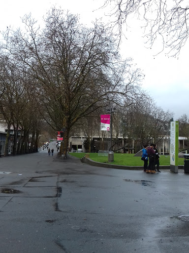 Art Gallery «A/NT: A Non-Traditional Gallery», reviews and photos, 305 Harrison St, Seattle, WA 98109, USA