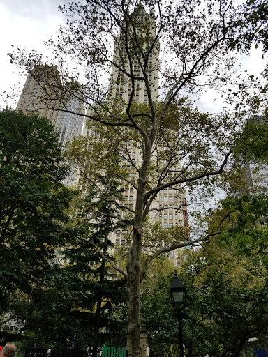 Historical Landmark «The Woolworth Building», reviews and photos, 233 Broadway, New York, NY 10007, USA