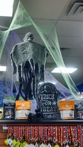 Pet Supply Store «Dawg City Inc.», reviews and photos, 38 Pearson St, Andover, MA 01810, USA