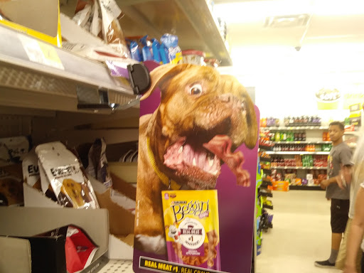 Discount Store «Dollar General», reviews and photos, 330 E Brown Rd, Mesa, AZ 85201, USA