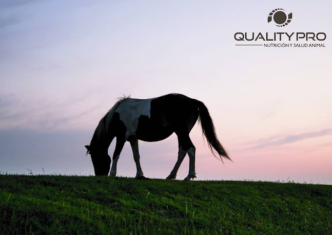 Quality Pro Ltda :: Salud y Nutricion Animal