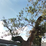 Photo n°3 de l'avis de Patrizia.r fait le 17/06/2023 à 08:57 sur le  Parco delle Querce Hotel, Ristorante, Sala Ricevimenti, AcquaPark à Crispiano