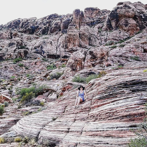 National Reserve «Red Rock Canyon National Conservation Area», reviews and photos, 1000 Scenic Loop Dr, Las Vegas, NV 89161, USA