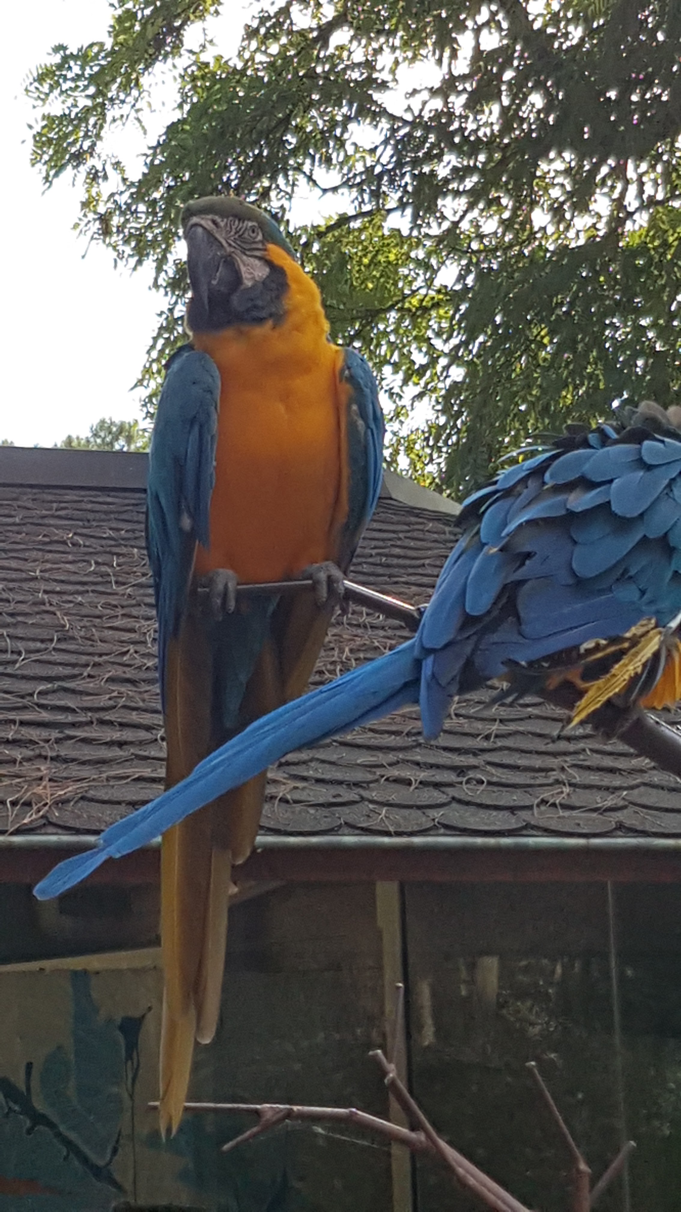 Photo n° 11 de l'avis de Claude.e fait le 18/09/2023 à 17:15