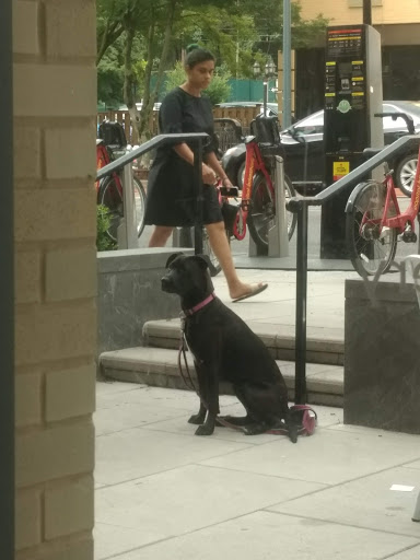 Grocery Store «Soapstone Market», reviews and photos, 4465 Connecticut Ave NW, Washington, DC 20008, USA