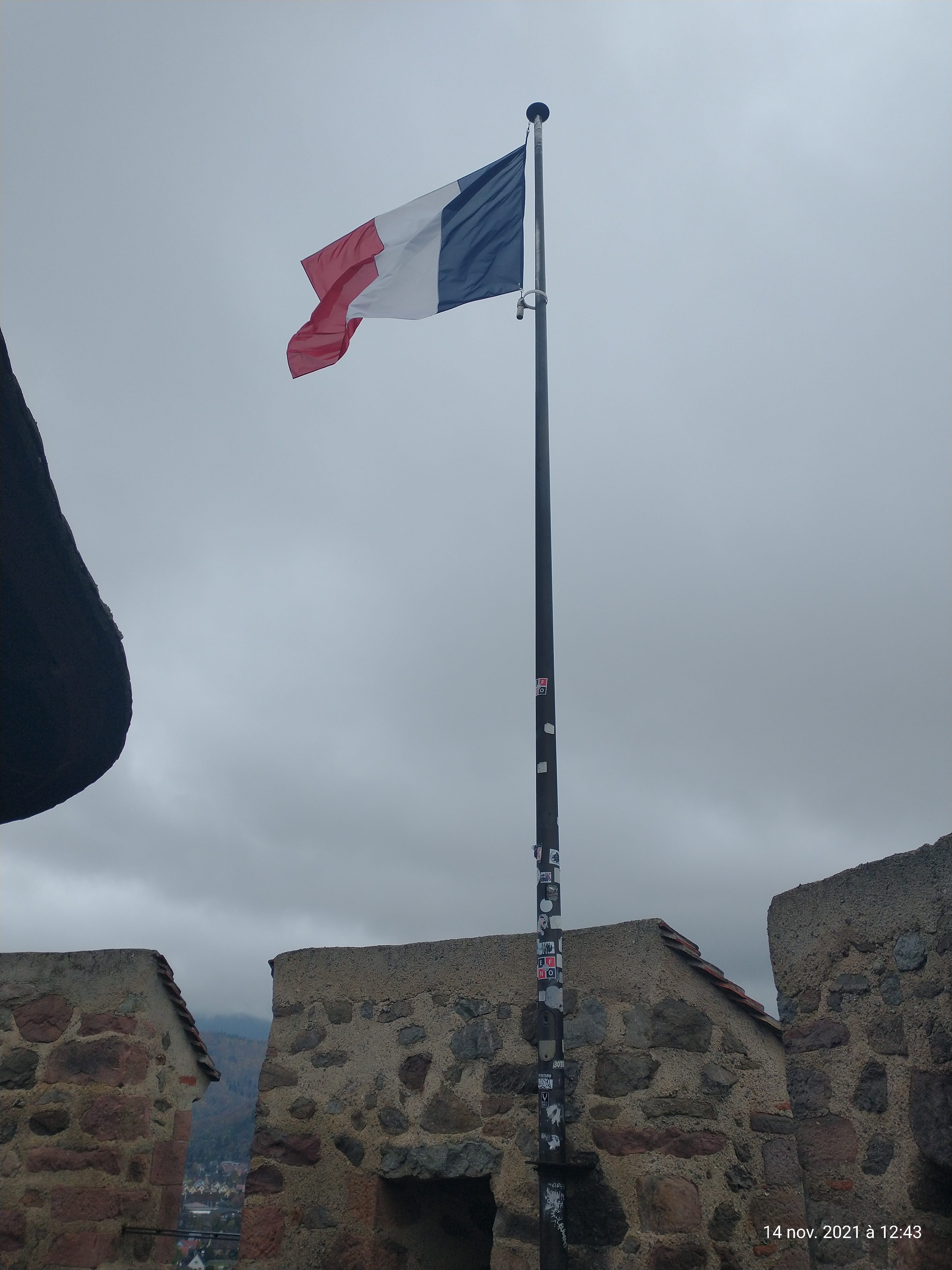 Photo n° 1 de l'avis de Lou. fait le 15/11/2021 à 06:07