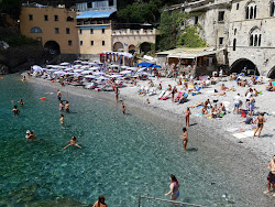 Foto von Spiaggia di San Fruttuoso befindet sich in natürlicher umgebung