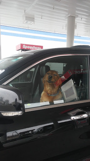 Liquor Store «Boston Liquors», reviews and photos, 223 Cambridge St, Boston, MA 02134, USA