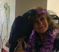 For the Birds - Photo 2 - Car repair in Bakersfield, CA, Bakersfield