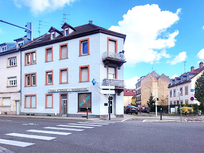 Clinique Vétérinaire de Cronenbourg - Vétérinaires NAC-friendly à Strasbourg