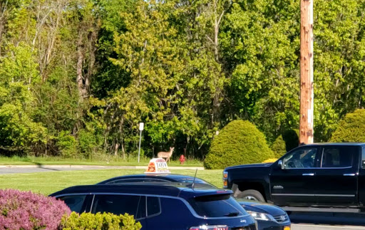 Gym «Planet Fitness», reviews and photos, 30 Gibbs Ct, Middletown, NY 10940, USA