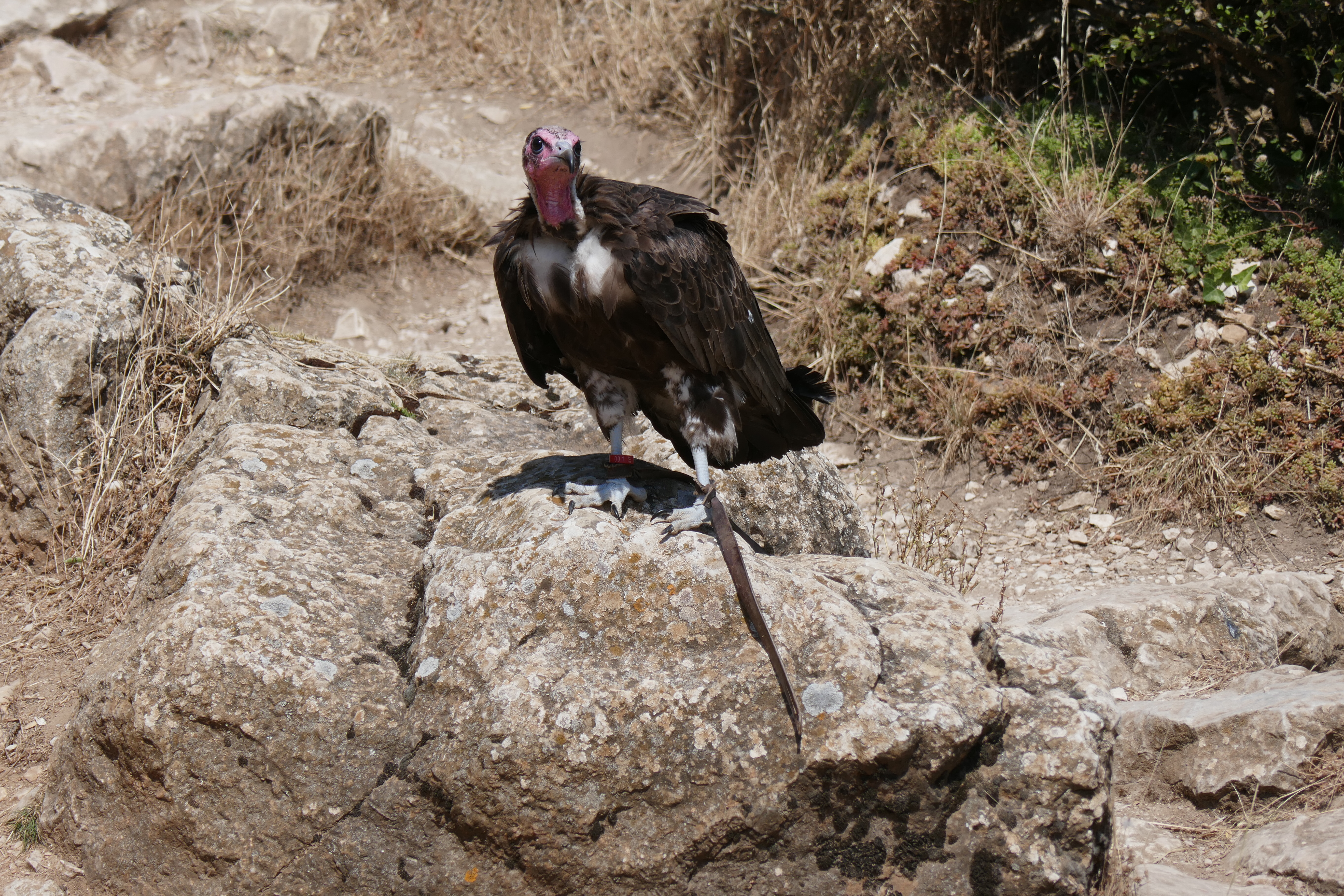 Photo n° 1 de l'avis de Lionel.� fait le 04/08/2018 à 21:29