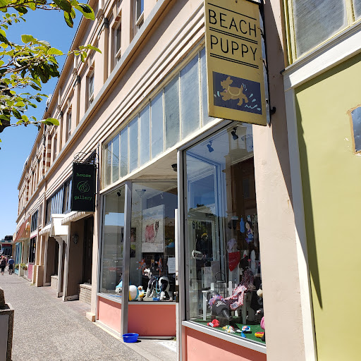 Pet Supply Store «Beach Puppy», reviews and photos, 614 Broadway St, Seaside, OR 97138, USA