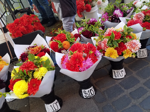 Market «Portland Saturday Market», reviews and photos, 2 SW Naito Pkwy, Portland, OR 97204, USA