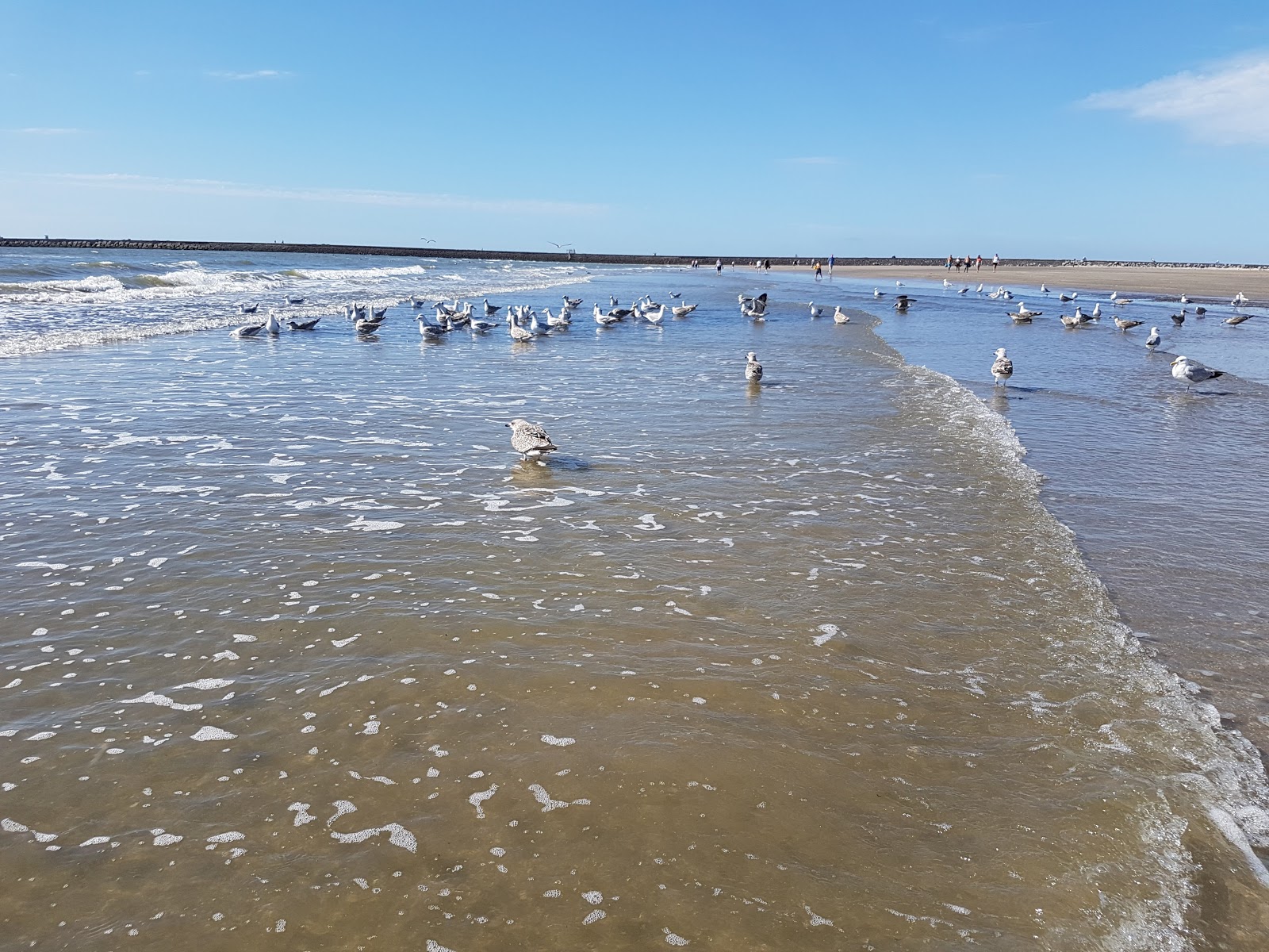 Fotografie cu Plaja IJmuiden - locul popular printre cunoscătorii de relaxare