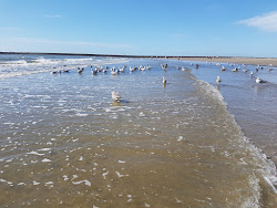 Fotografie cu Plaja IJmuiden - locul popular printre cunoscătorii de relaxare