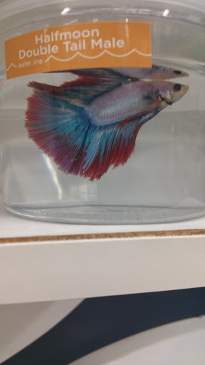 Pet Supply Store «Petco Animal Supplies», reviews and photos, 430 Cbl Dr, St Augustine, FL 32086, USA