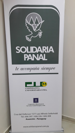 Solidaria Panal S.A