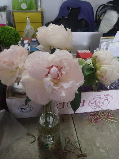 Florist «The Flower Place», reviews and photos, 860 NE 79th St, Miami, FL 33138, USA