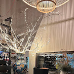 Photo n°2 de l'avis de socksontheroad. fait le 18/03/2024 à 13:35 sur le  Al Casaletto à Marino