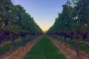 Clovis Point Vineyard & Winery image