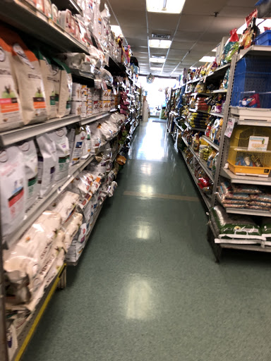 Pet Supply Store «Petland Discounts - Austin Street», reviews and photos, 70-44 Austin St, Queens, NY 11375, USA