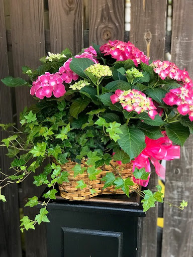 Florist «Classic Florist & Home Decor LLC», reviews and photos, 913 Hillcrest Pkwy, Dublin, GA 31021, USA