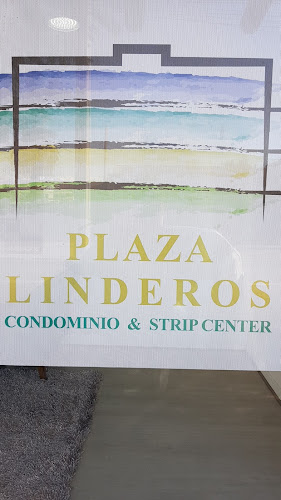 Sala de ventas Condominio Plaza Linderos - Buin