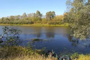 Regional Landscape Park Seymskiy image